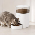 Distributeur Automatique de Croquettes pour Chat JOFER – Programmable, Contrôle des Portions, Bol Inox, 3L
